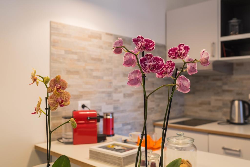 Acchiappasogni Guest House روما المظهر الخارجي الصورة